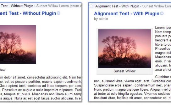 Alinhando imagens do feed no WordPress