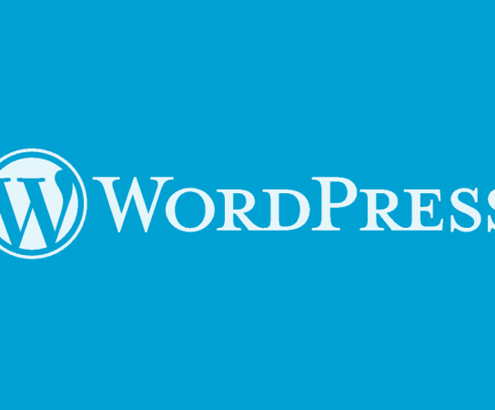 Ver todos os campos personalizados do WordPress